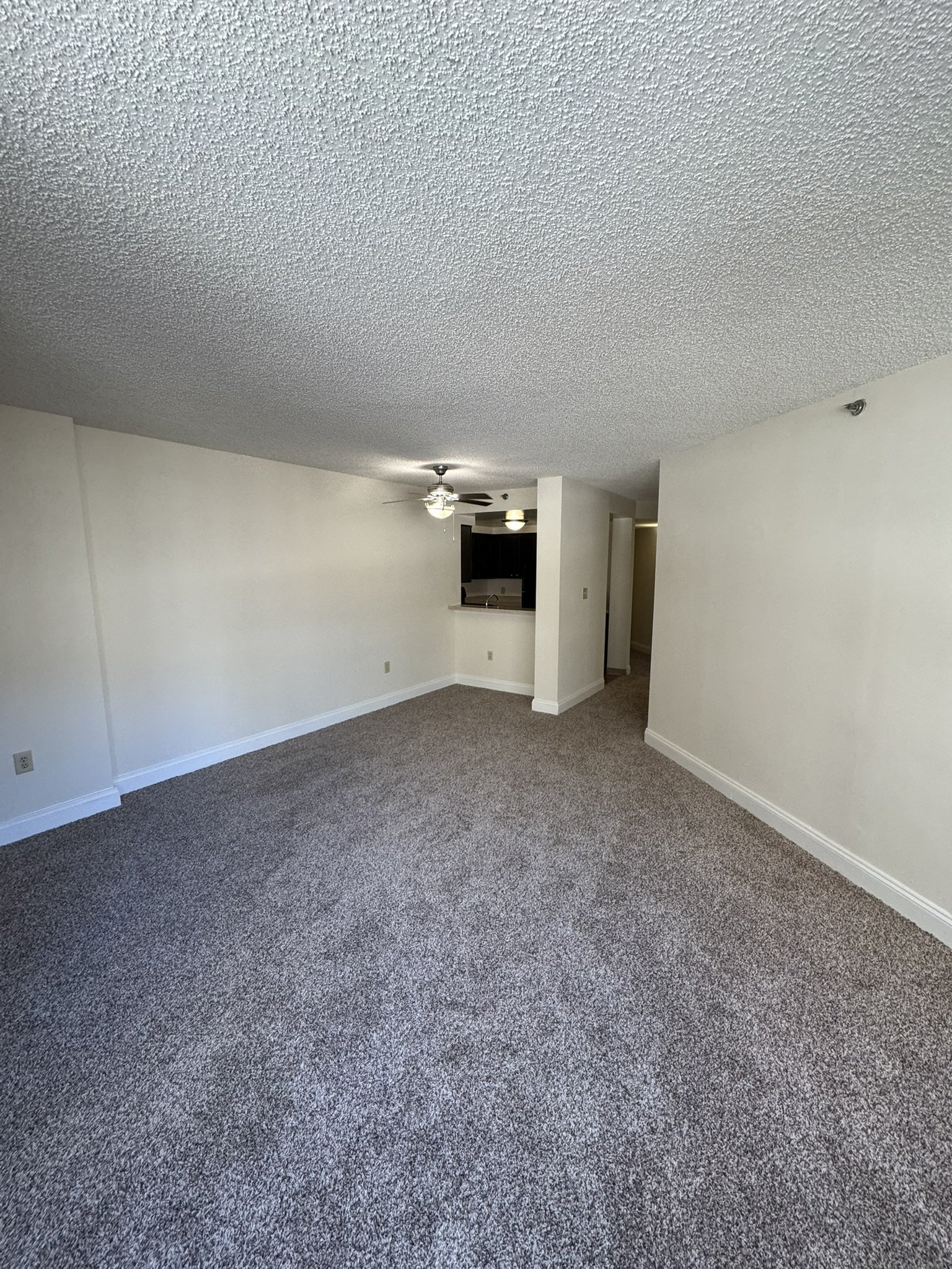 The Apartments at Charles Plaza Image 54