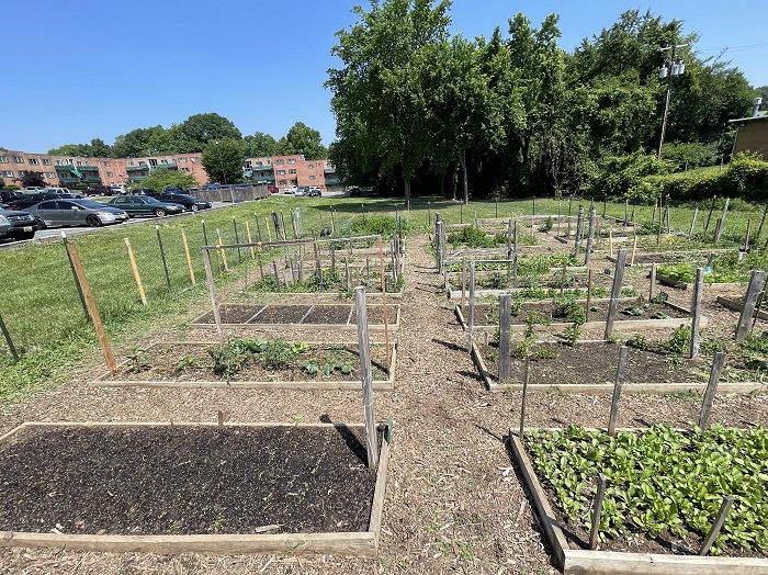 Colonial Village Image 3