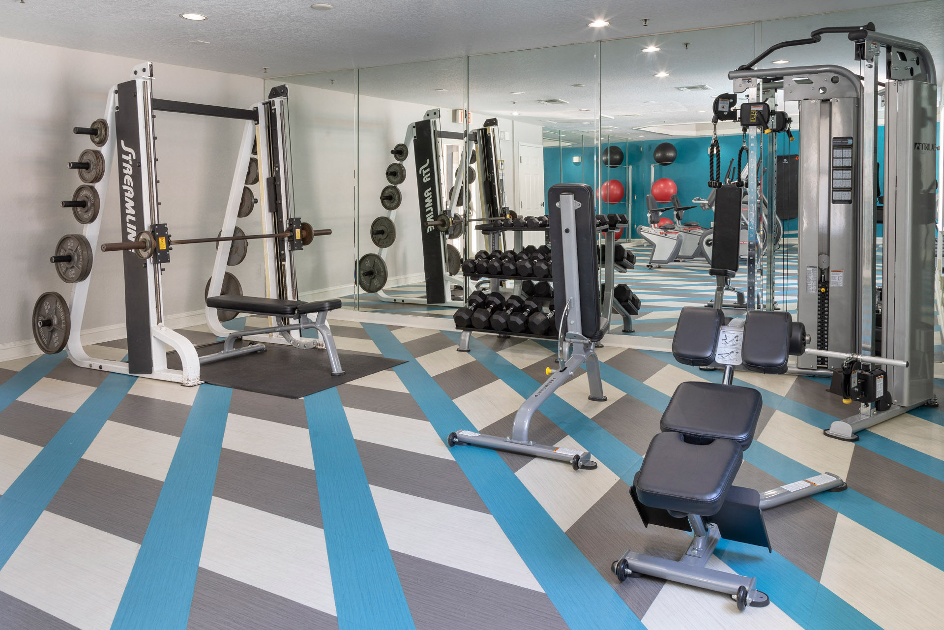 Central Park Image 2