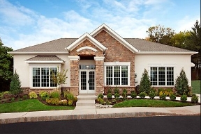 Dublin Terrace Image 6