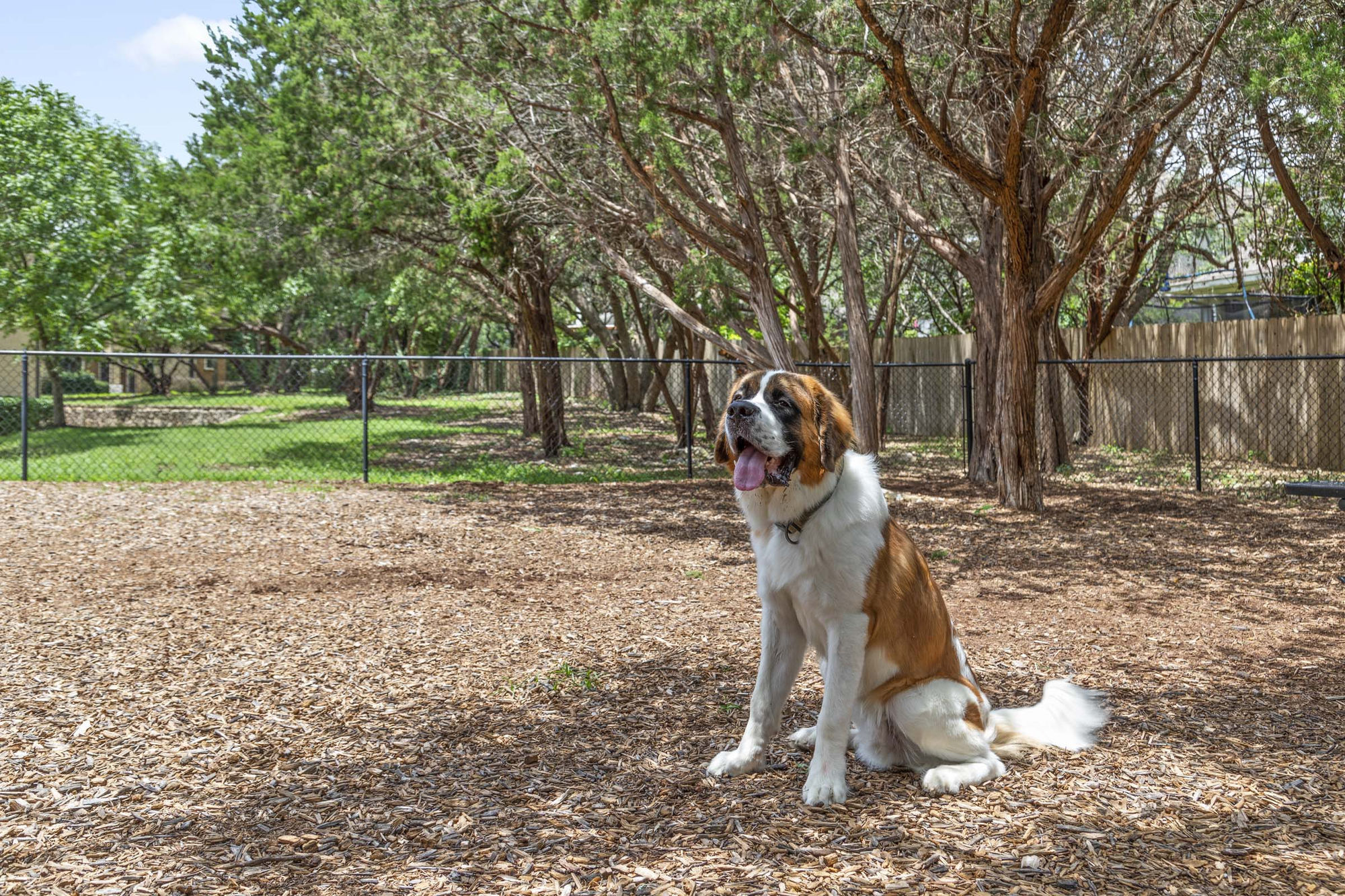 Camden Brushy Creek Image 31