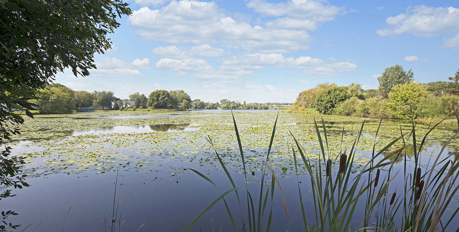 Beach South Apartments Image 6