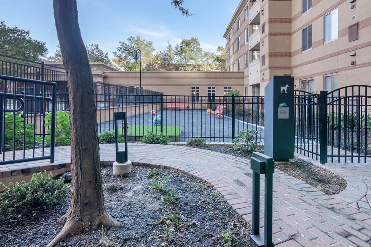 1800 Oak Image 51