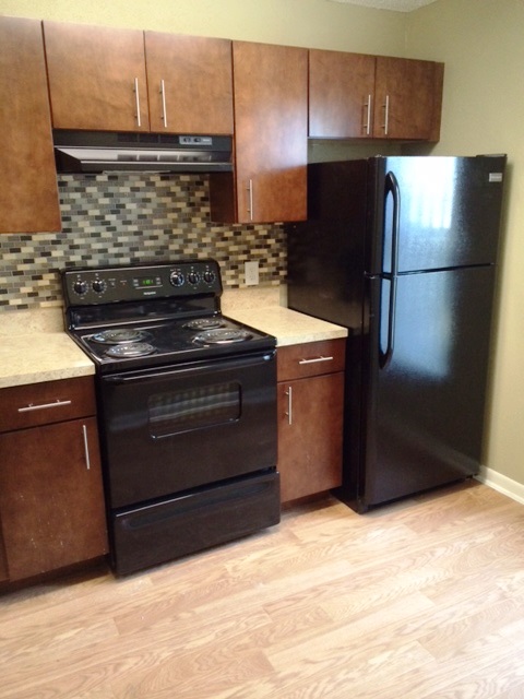 Coral Falls Image 14