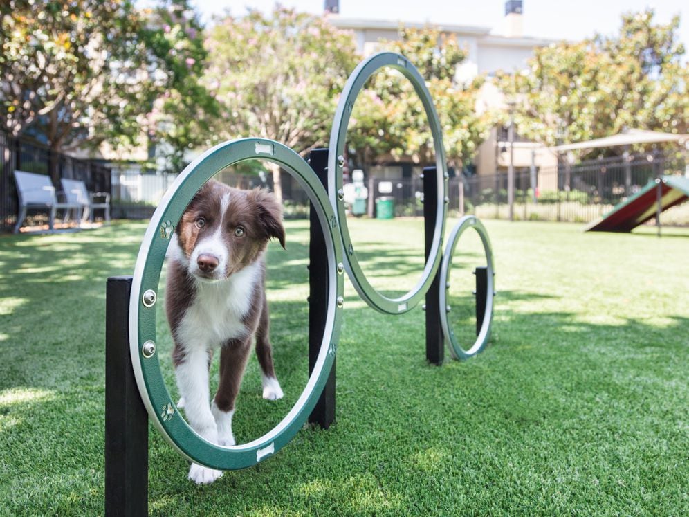 WAG Pet Park