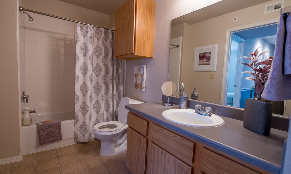 The Remington Image 13