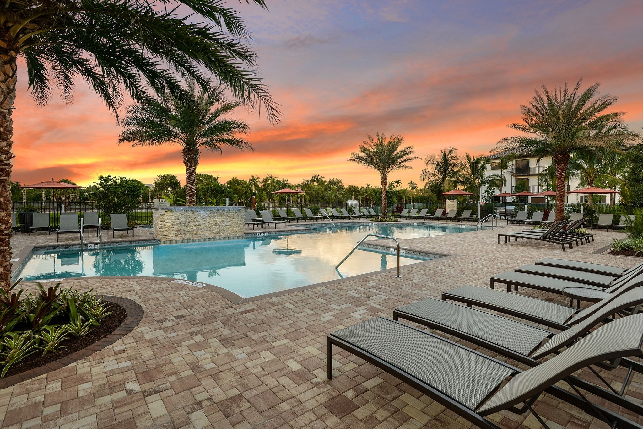 Palm Ranch Image 10