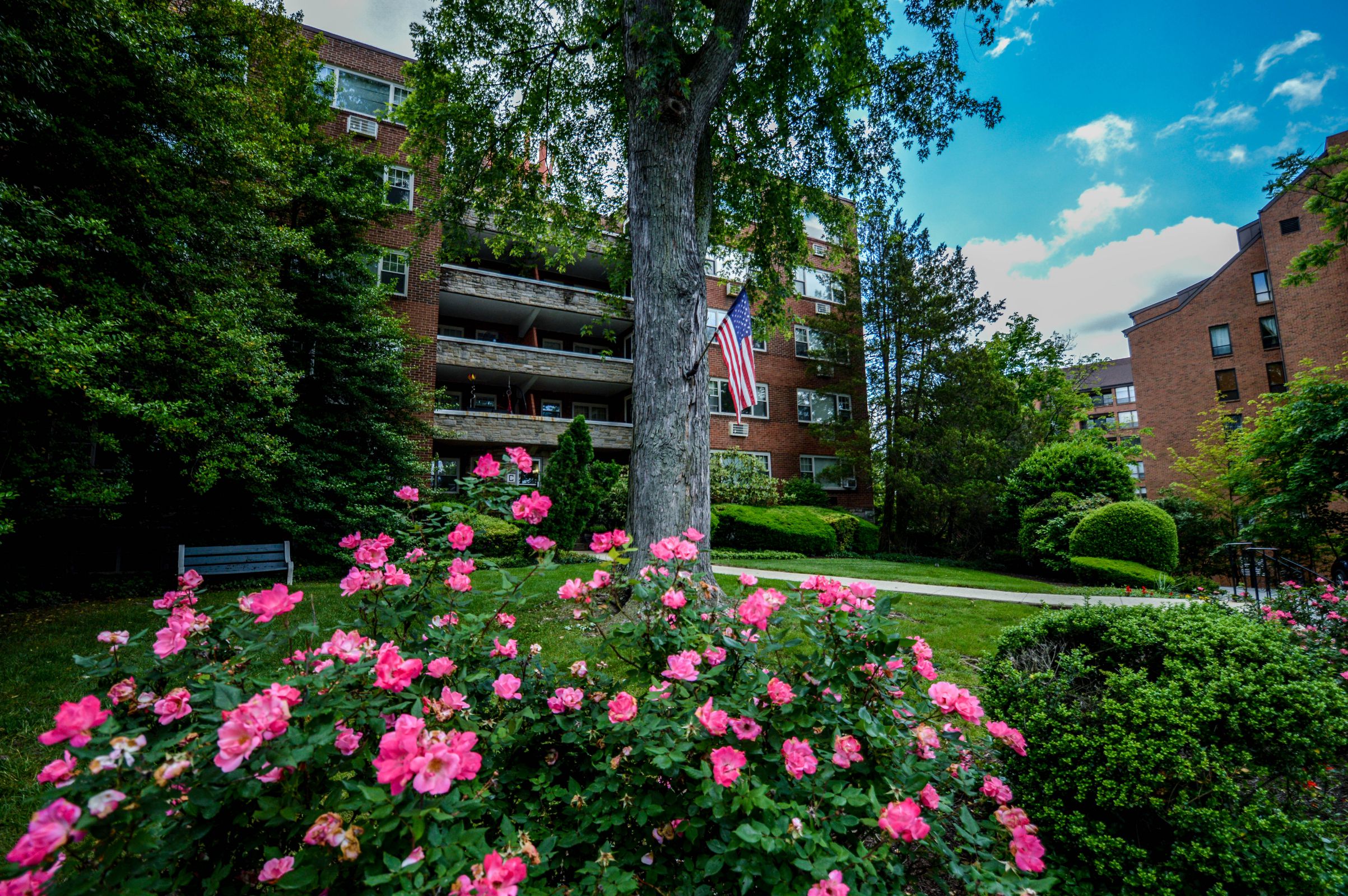 429 Apartments Image 1
