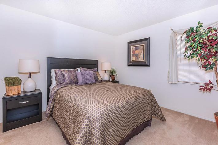 Bristol Pointe Image 8