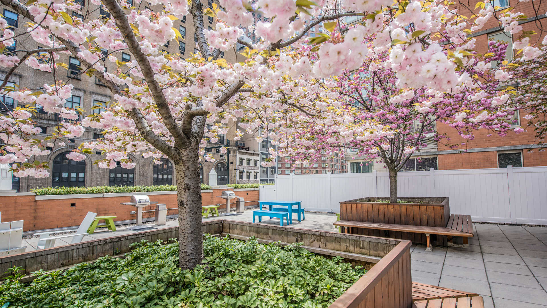 Longacre House Image 6