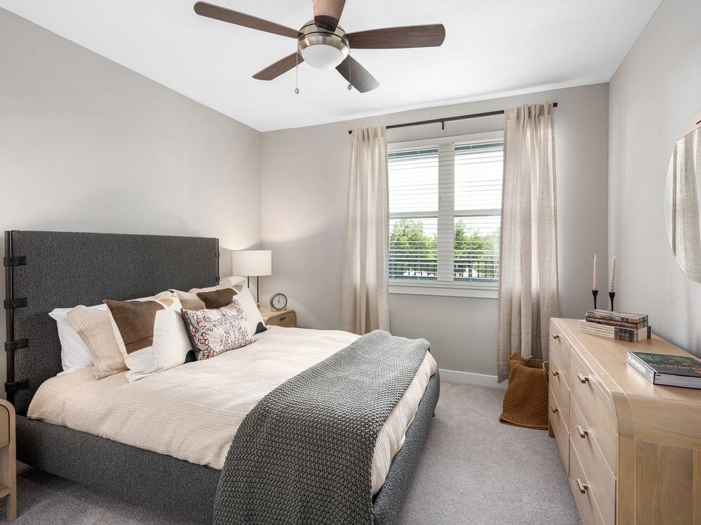 Primary bedroom with ample natural light