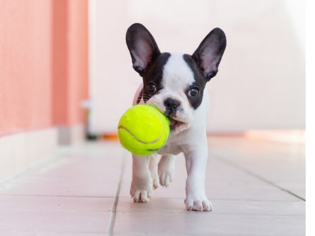 Meridia Lafayette Image 21