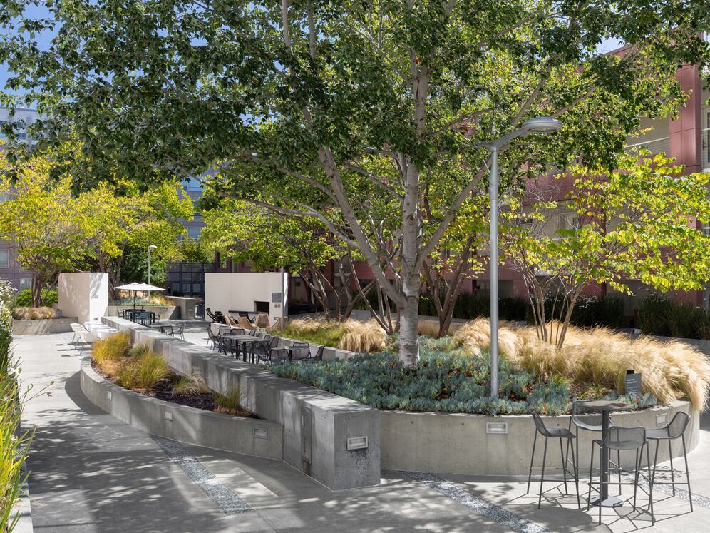 Courtyard (Phase III)