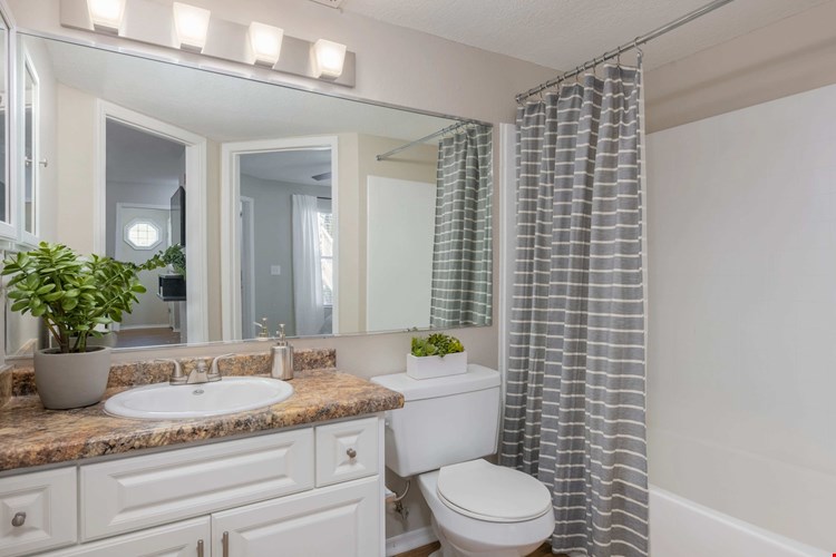 Enjoy all the upgraded features of your ideal bathroom space including an expansive mirror, mirrored medicine cabinet, and a large countertop space.