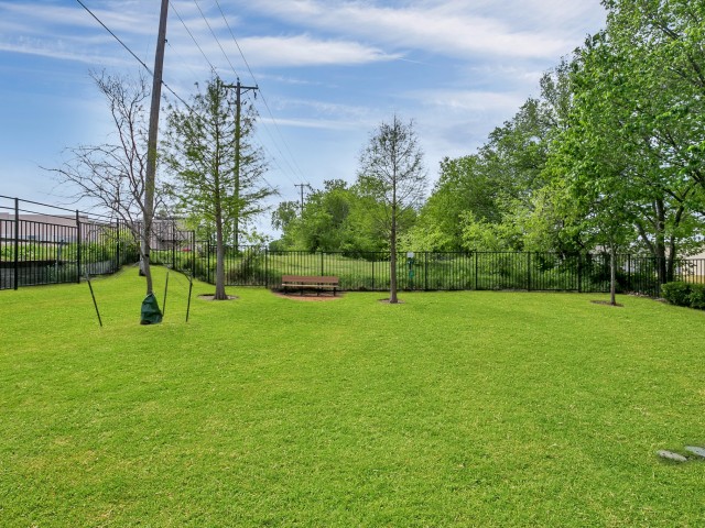 luxury apartments dog friendly