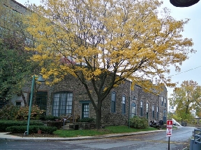 Dobson Mills Lofts Image 5