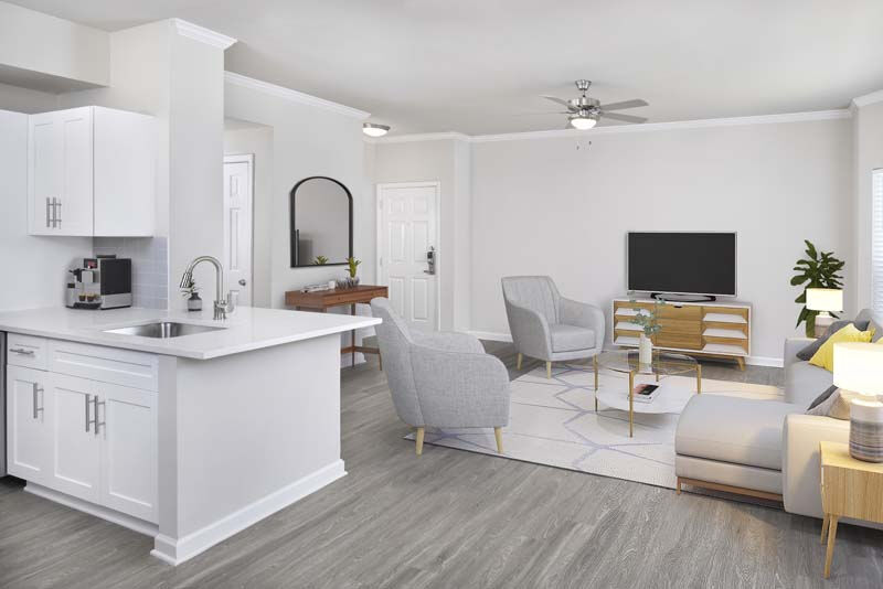 Camden Phipps Image 3