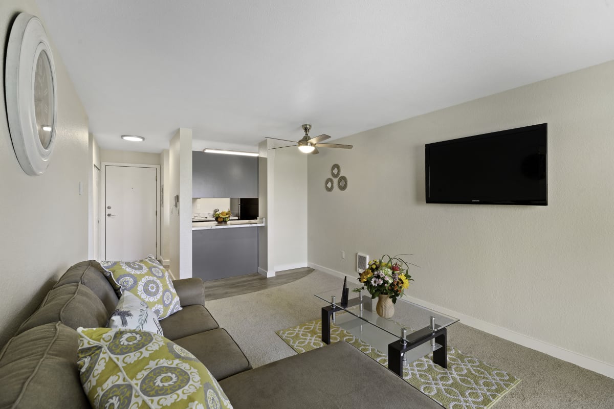 Campo Basso Apartments Image 30