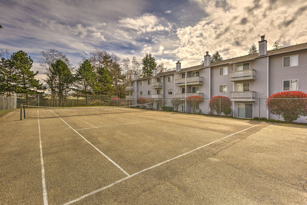 Campo Basso Apartments Image 3