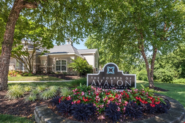 The Courts of Avalon Image 30