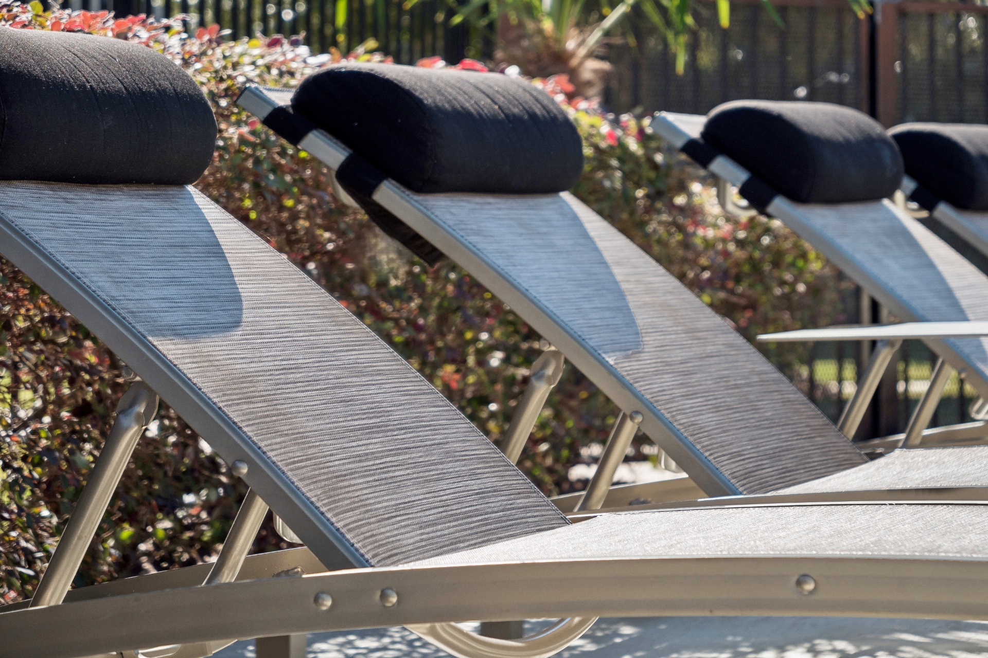 Berkshire Woodland Image 4