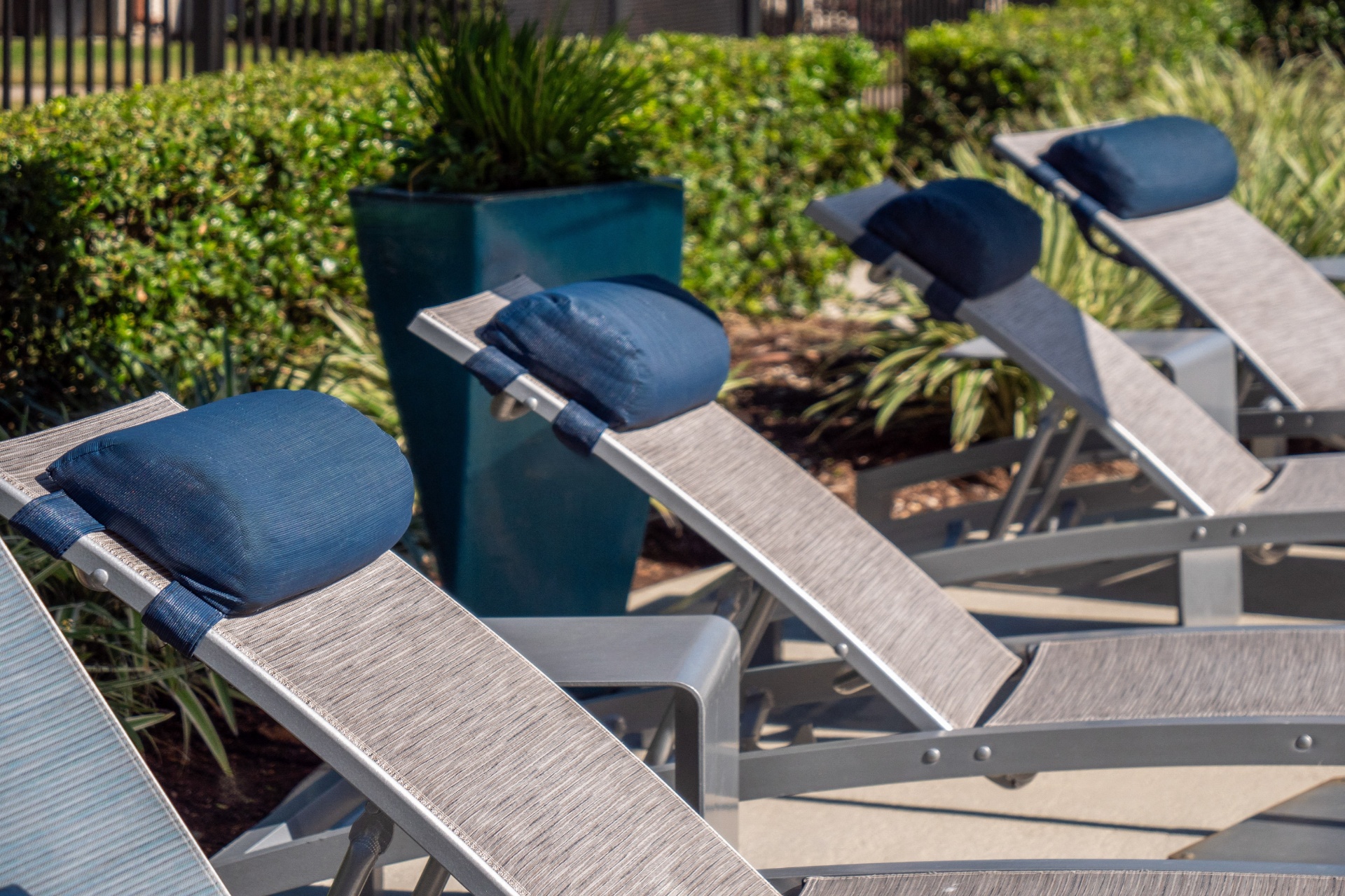 Berkshire Jones Forest Image 4