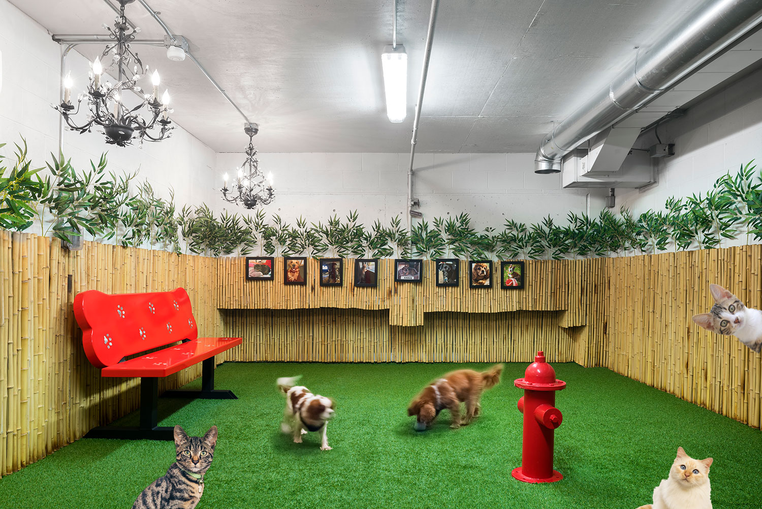 Indoor Hot Dogs Park