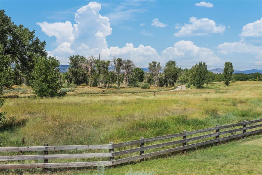 Berkshire Aspen Grove Image 31