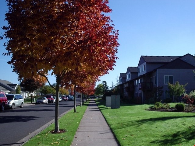 Located on a beautiful tree-lined street