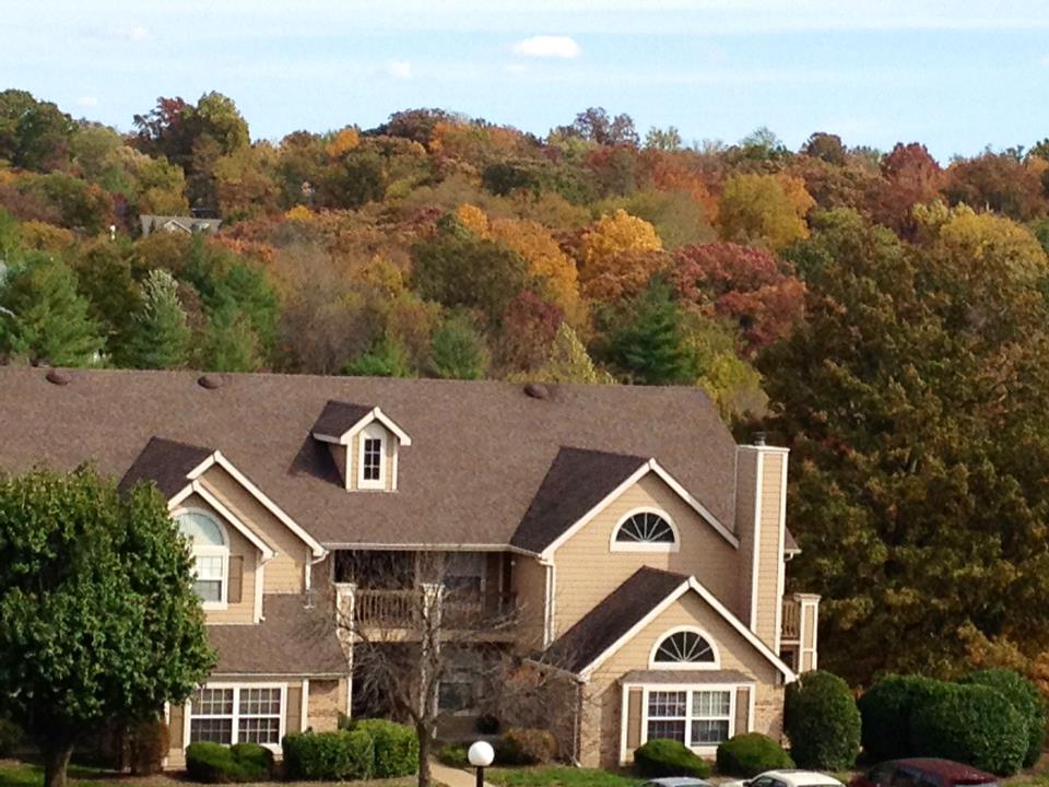 Patterson Place Apartments Image 9