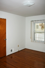 ambers The Vines Image 11