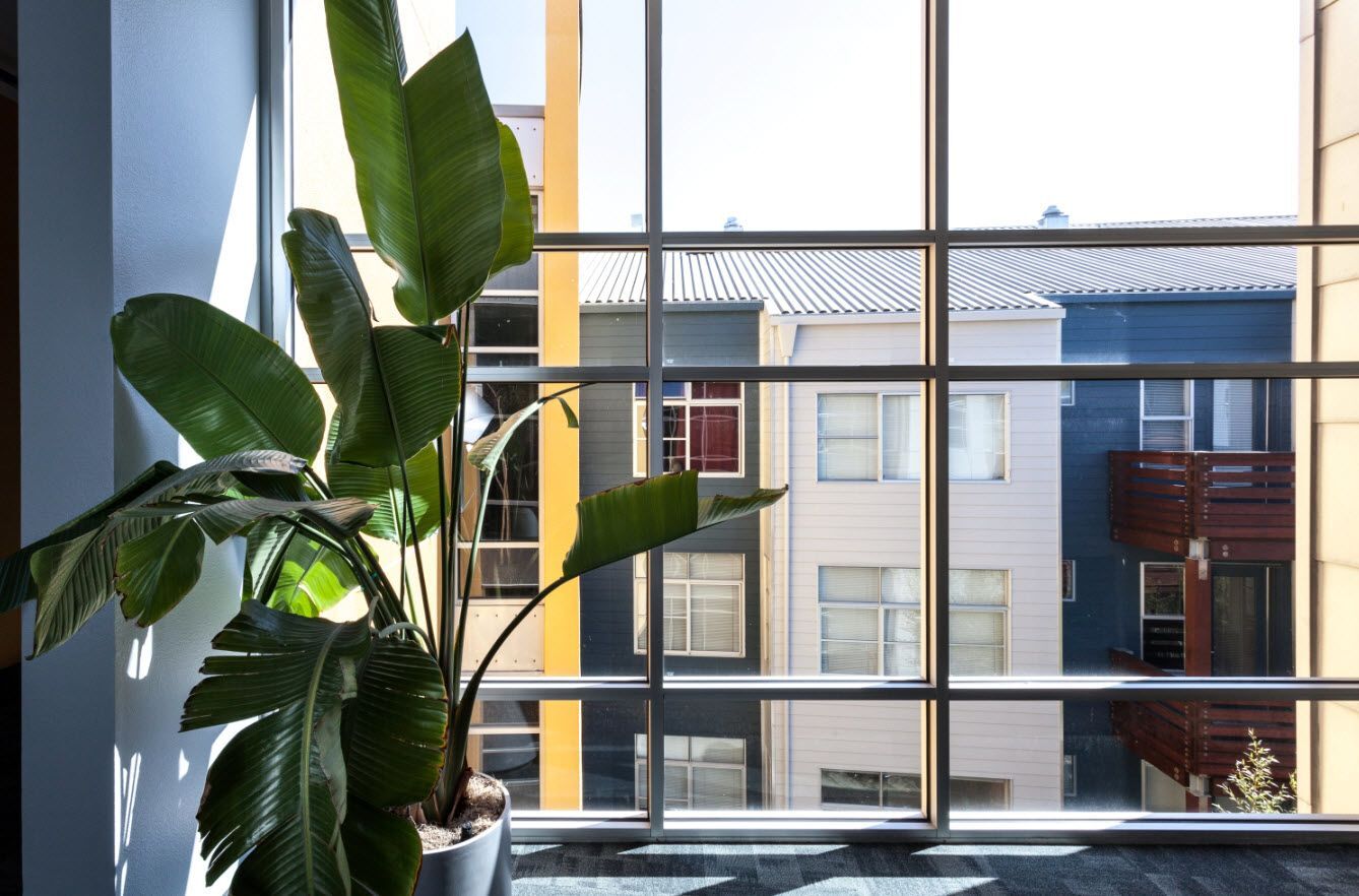 Soma Residences Image 10