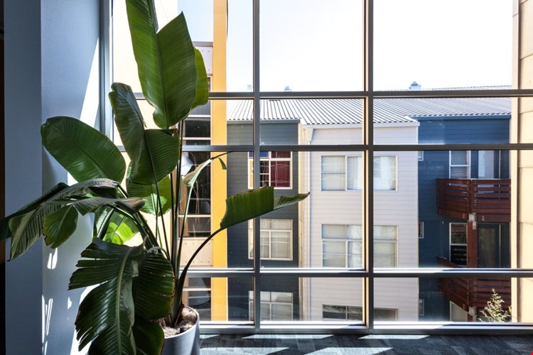 Soma Residences Image 10