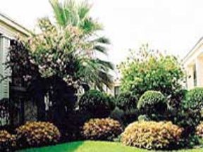 Lantern Village Image 3