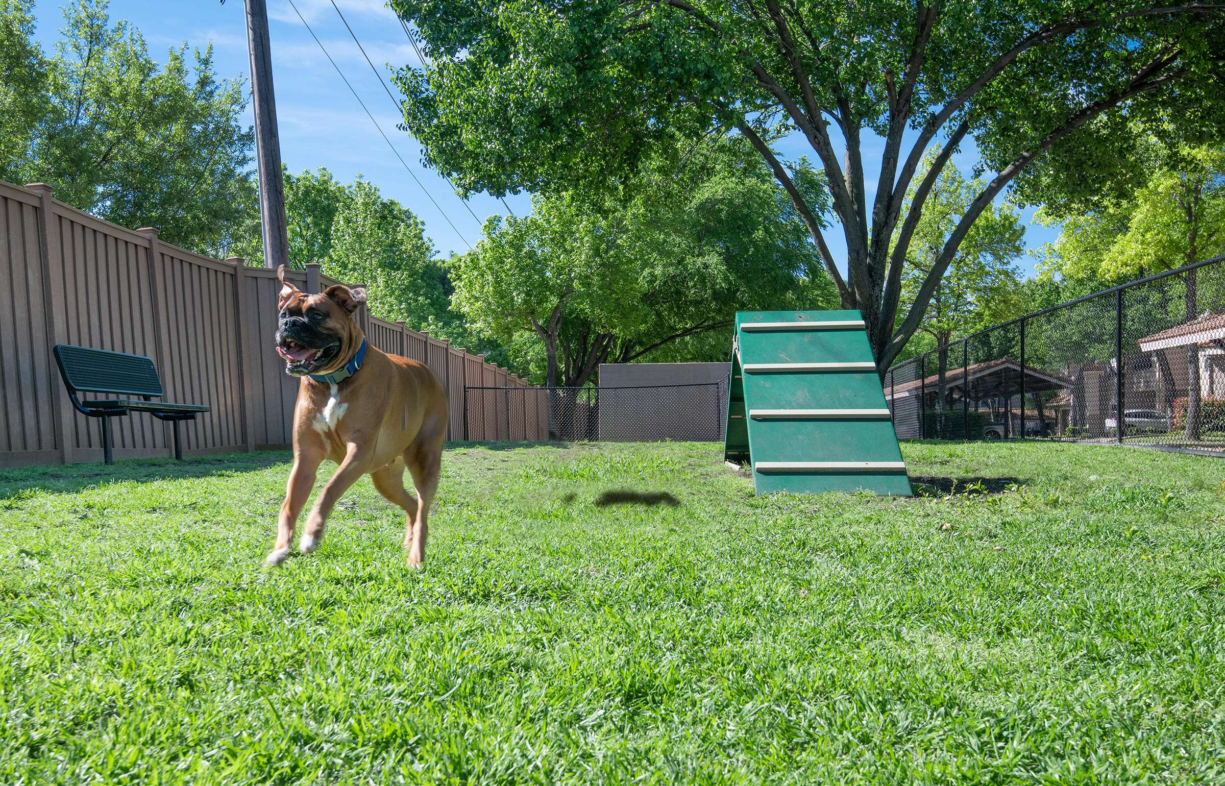 Rancho Palisades Image 13