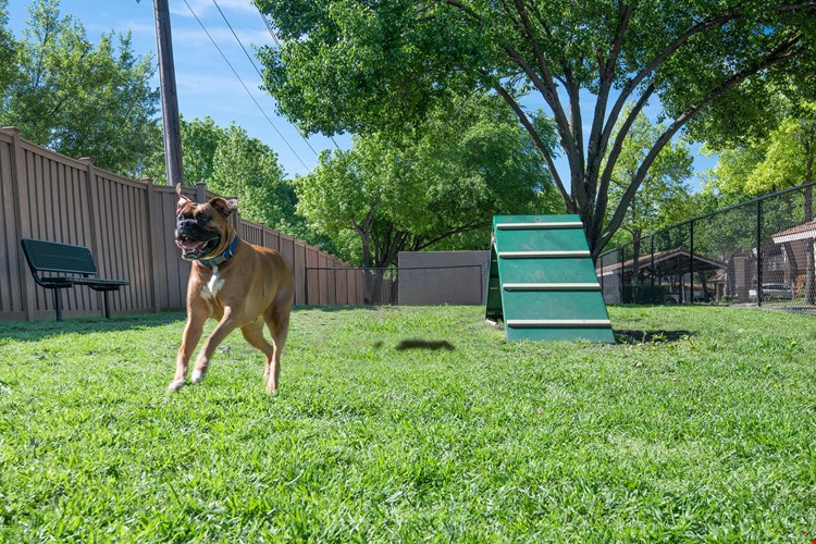 Rancho Palisades Image 13