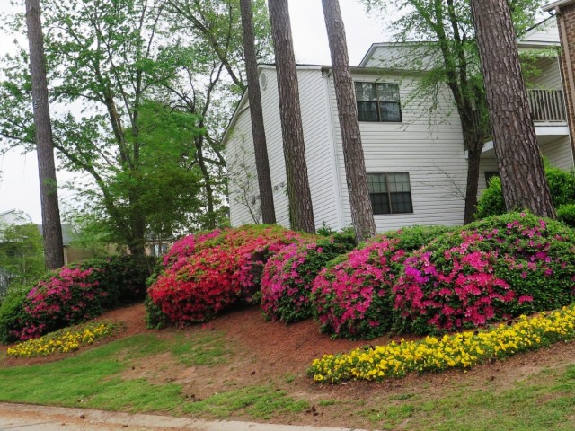 Spring Lake Point Image 10