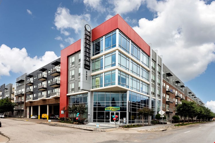 Macallan on Ross Image 2