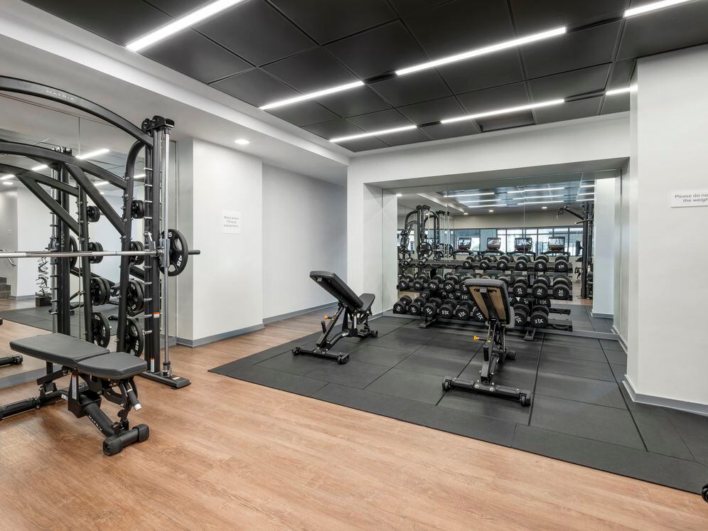Fitness center with strength equipment