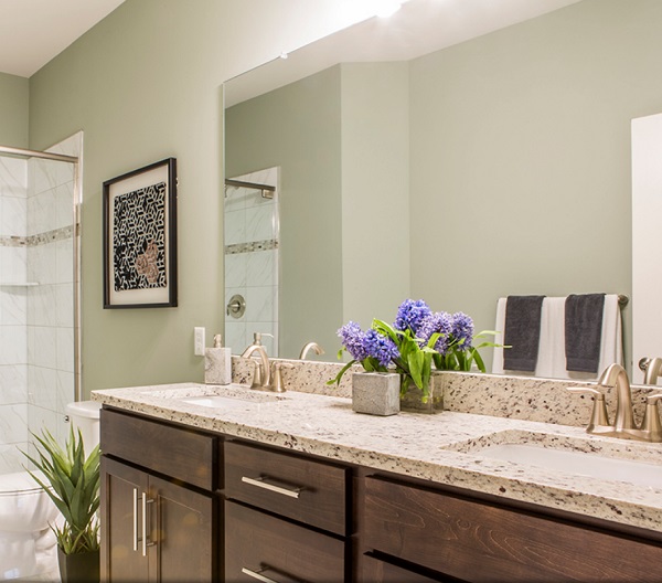 Sycamore Landing Image 7