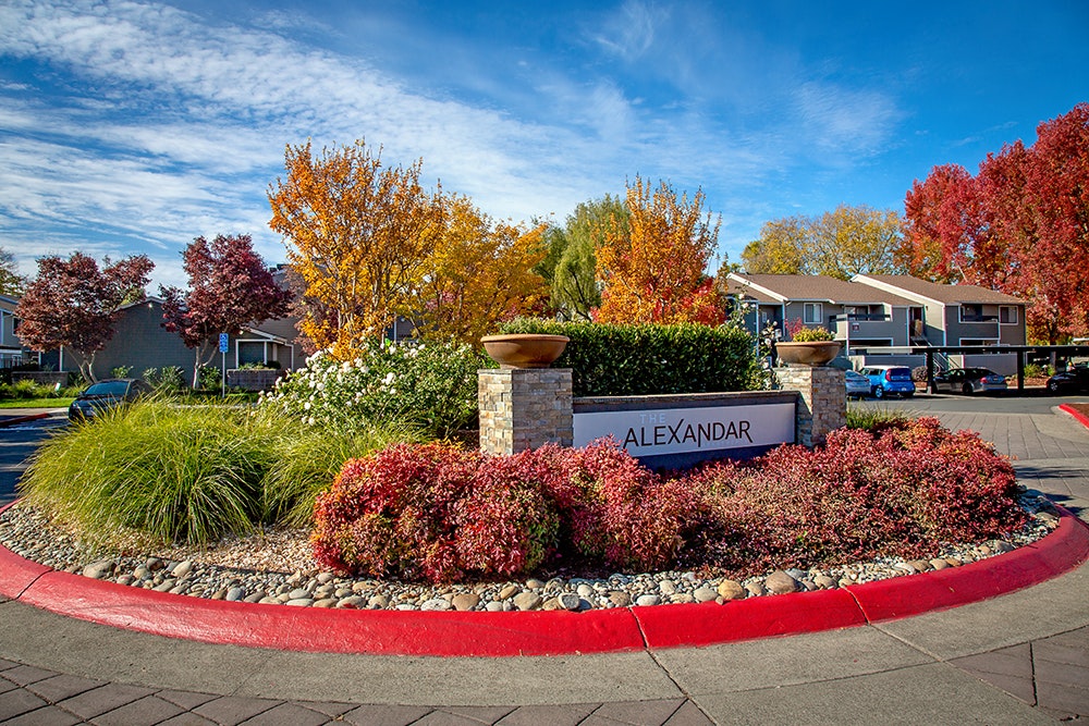 The Alexandar Image 26