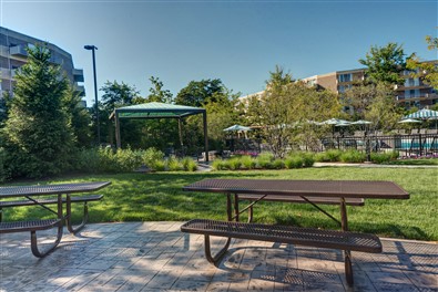 Sherri Park Apartments Image 13