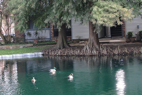 Relais Esplanade  Image 9