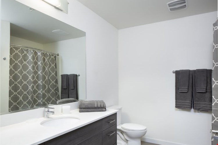 Nine and Pine Image 7