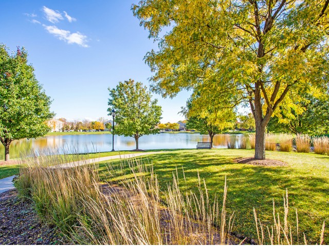 Williams Reserve Image 12