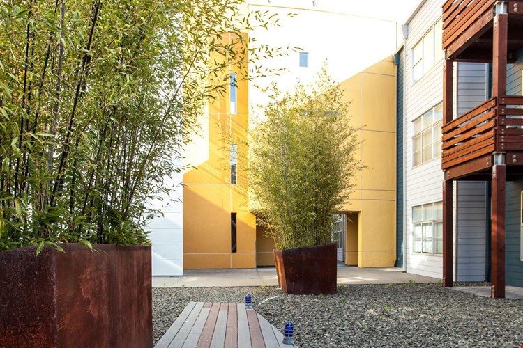 Soma Residences Image 5