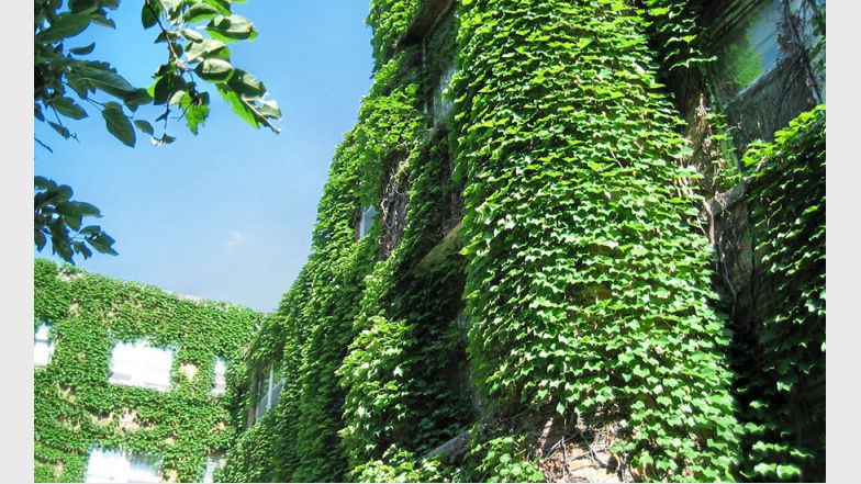 Dean Terrace Apartments Image 6