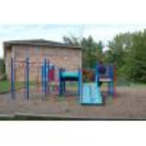 Beech Meadow Image 4