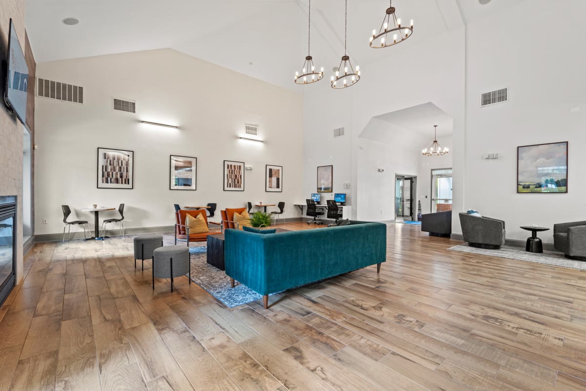 SomerHill Farms Image 12