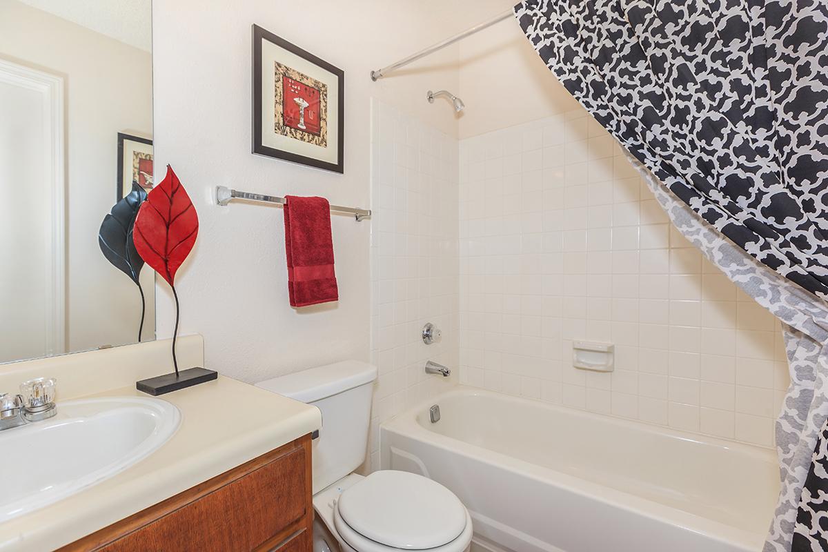 Bonanza Guest Bathroom